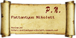 Pattantyus Nikolett névjegykártya